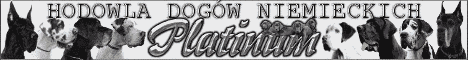 Hodowla Dog�w Niemieckich PLATINUM